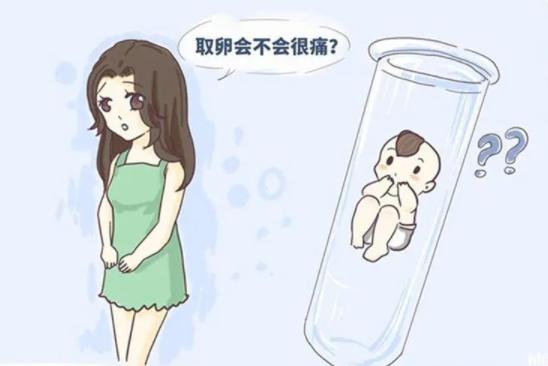 女性取卵对身体危害大不大？