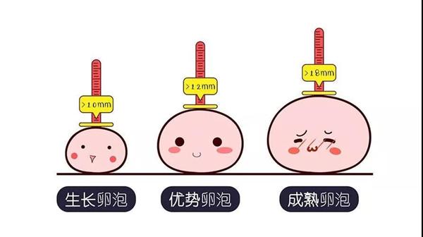 32岁做试管超长方案需要几个月？