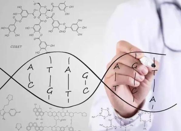 广州私立机构做试管婴儿包成功，需要花多少钱？