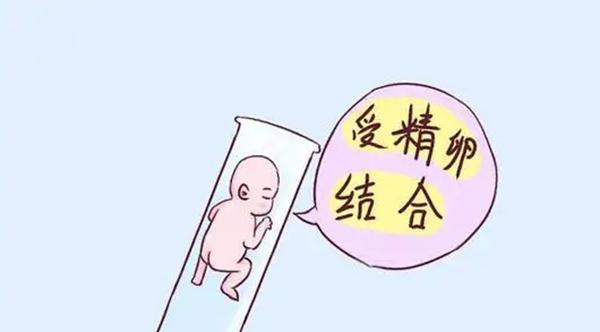 东北哪家三甲医院做试管婴儿成功率更高？