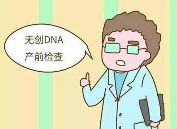 两千多的无创dna和一千多的无创dna什么区别？