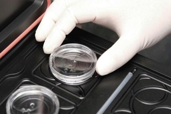 2023年在泰国做试管婴儿的助孕费用是多少？贵不贵？