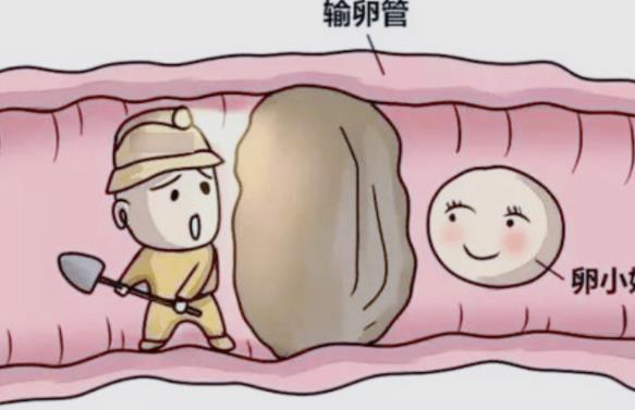 输卵管堵塞有什么办法能怀上孩子？