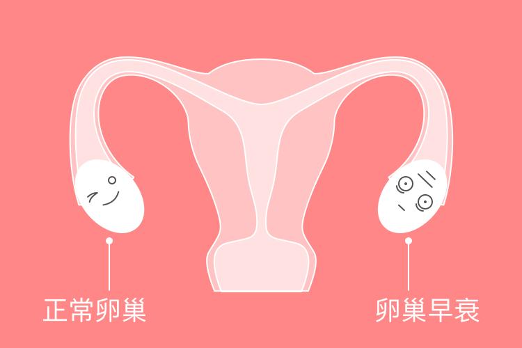 卵巢结果为0.99做试管可以成功吗？