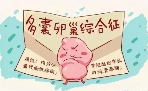 多囊做试管婴儿成功率是高还是低？