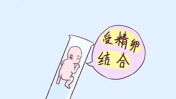 试管移植第一次失败，做第二次成功率会提升吗？