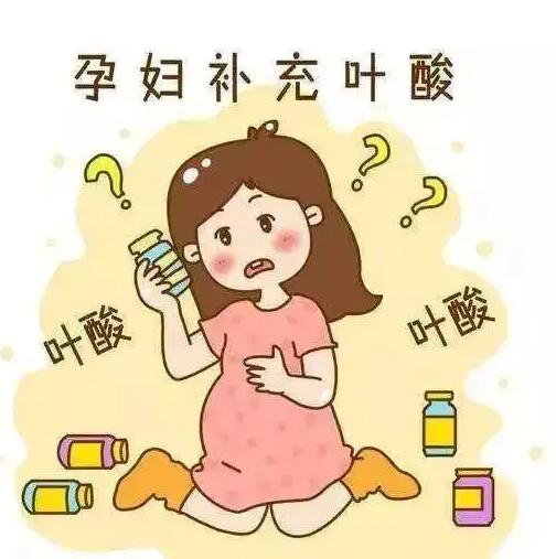 叶酸是国家免费发放的吗？