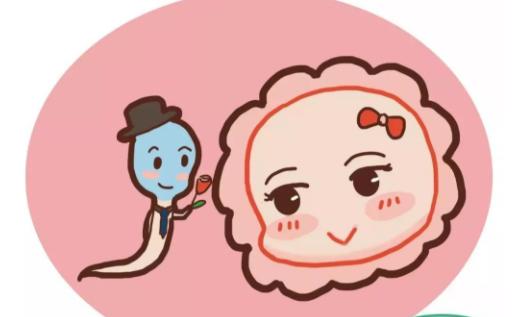 试管移植后早孕试纸准确吗？