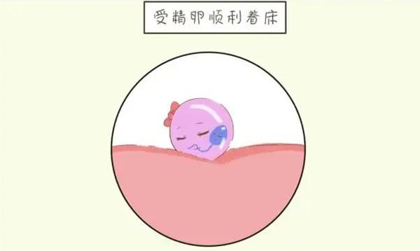 试管移植后一般几天后会出现胸胀、乳头痛痒等着床反应？