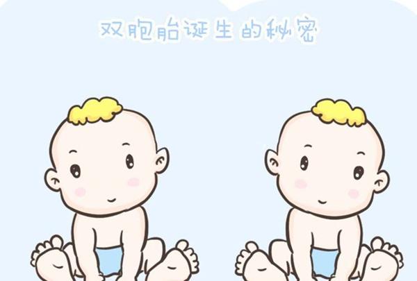 去泰国做试管生双胞胎需要多少钱？成功率高吗？