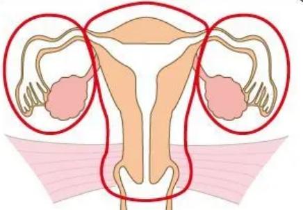 子宫内膜异位症切除子宫之后还能保留卵巢吗？