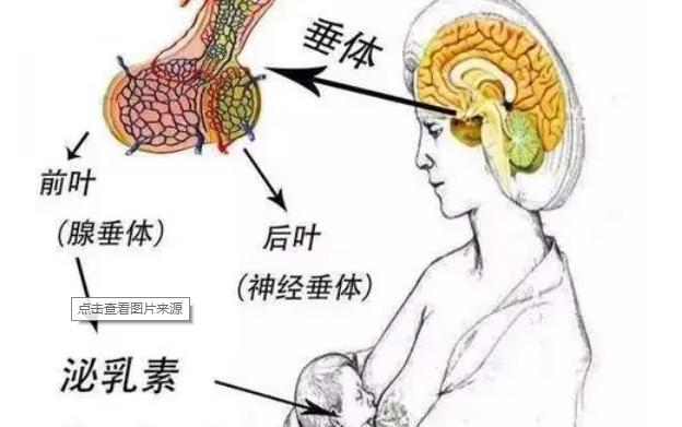 高催乳激素血症移植两个鲜胚成功率高吗？需要做其他治疗吗？