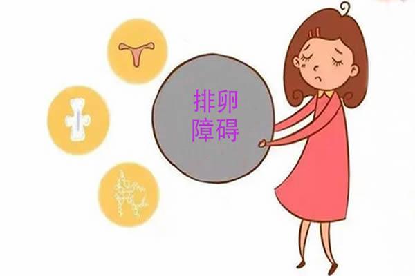 排卵障碍做供卵试管婴儿费用大概多少？