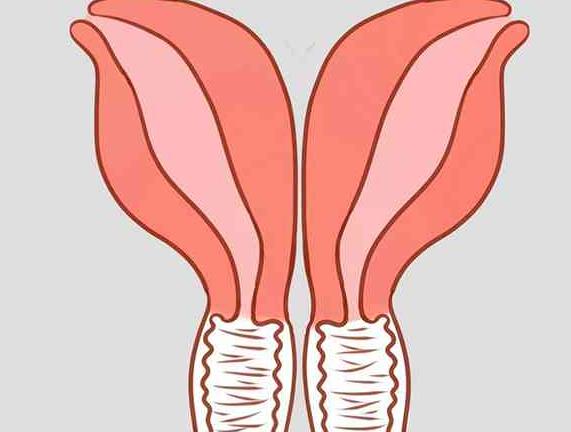 双角子宫患者去日本进行试管婴儿还有怀孕的机会吗？