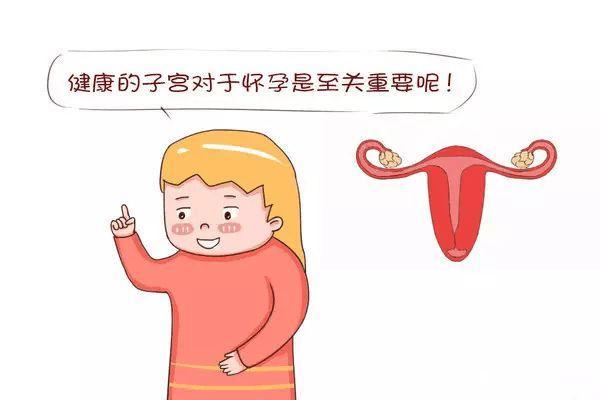 中度宫颈粘连在沈阳做试管婴儿的费用需要多少？