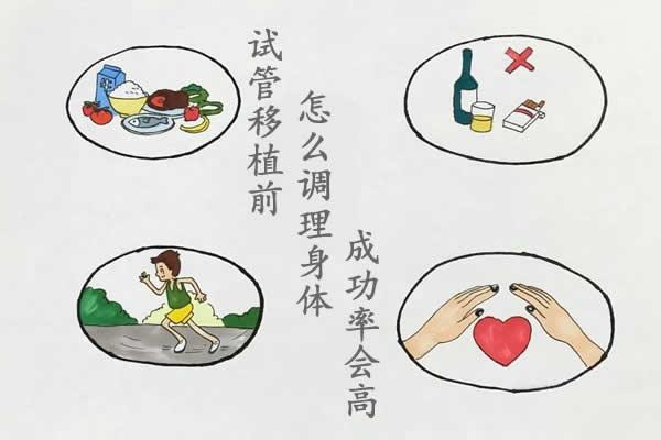 试管移植前应该如何科学调养身体？