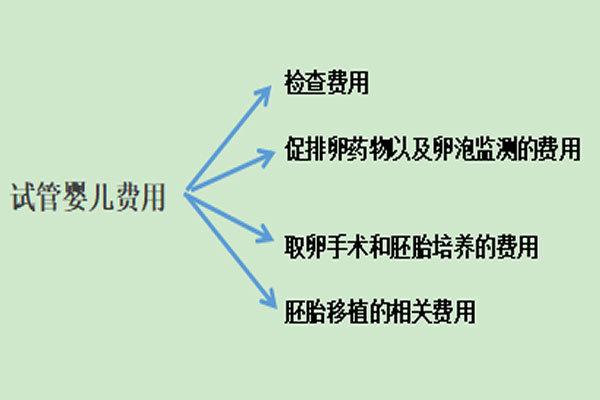 试管婴儿移植的费用如何计算？包含哪些项目？