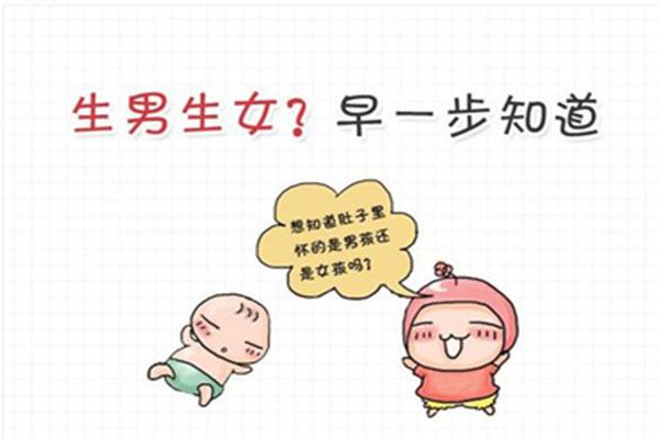 试管婴儿怀孕后，如何在B超单上快速准确地看出胎儿性别？