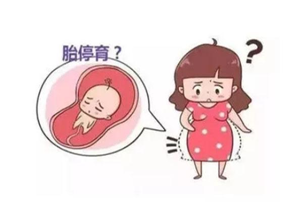 试管婴儿一超二超都没有胎心，还有“翻盘”机会吗？