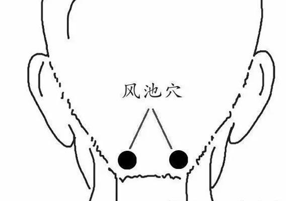 什么是风池堵塞？如何治疗这种疾病？