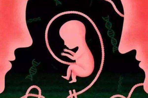 单身女性在泰国做试管婴儿合法吗？有没有需要注意的地方？
