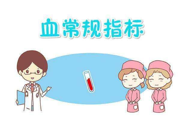 血常规alt是检查什么？有哪些步骤？