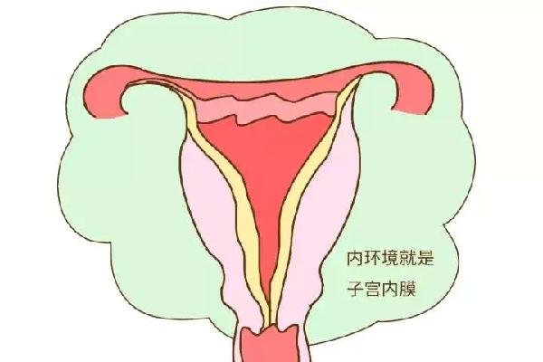 子宫内膜薄怀孕了会容易流产吗？怎么增加内膜厚度呢？