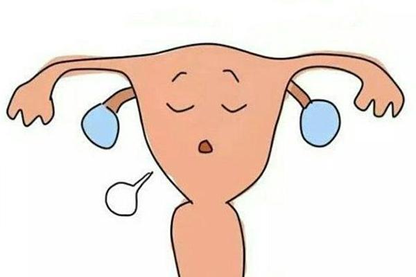 内膜厚度影响试管婴儿的成功率吗？如何增加内膜厚度呢？