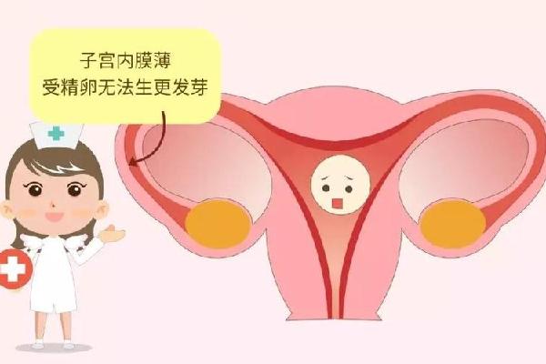 做试管婴儿前子宫内膜应达到多少才能移植？如何增加子宫内膜的厚度？