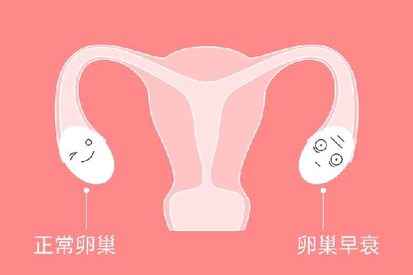 卵巢功能减退在长沙中信湘雅医院可以做三代试管婴儿吗？