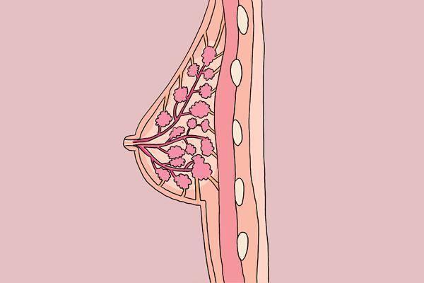 乳房检查有哪些项目？可以查出乳腺结节吗？