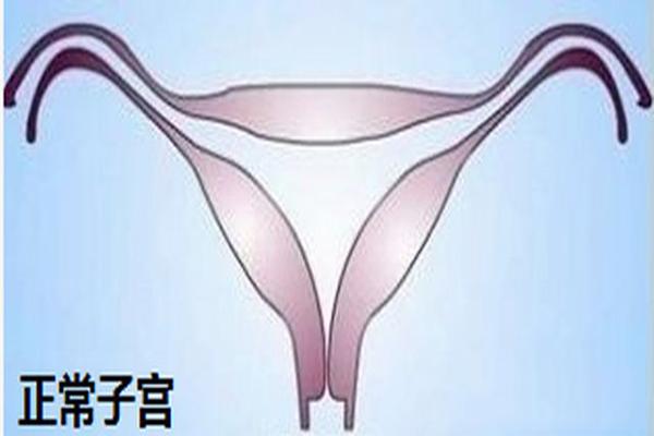 女方子宫内膜过厚在西安的机构做三代试管婴儿可以包成功吗？