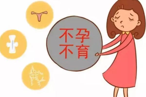 女性不孕的症状和治疗方案分别是什么？