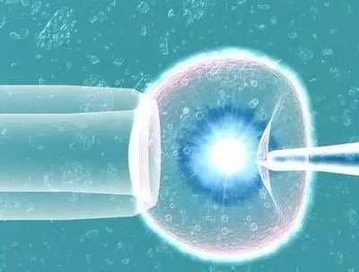 5bc囊胚属于优质胚胎，即便如此也不一定成功