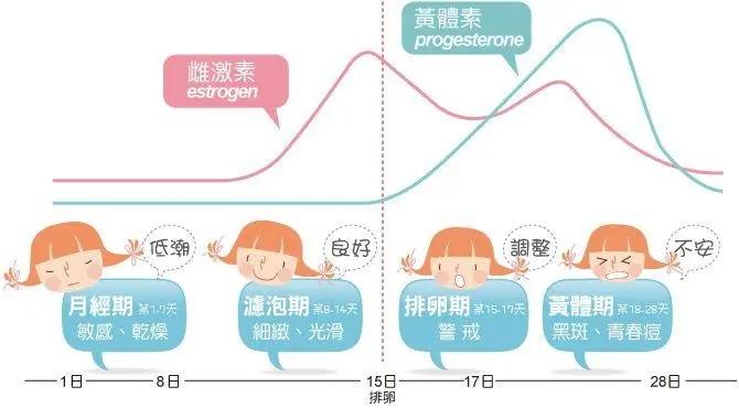 黄体期长方案和卵泡期长方案哪个成功率高