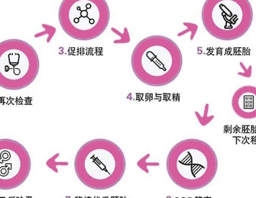 2022上海试管医院流程是怎样的？成功率如何？