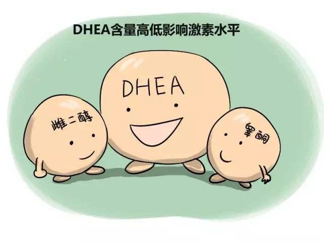 服用dhea对卵巢功能是好是坏，看看到底起到什么作用