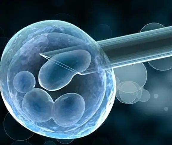 2022失独高龄家庭能做三代试管婴儿吗？