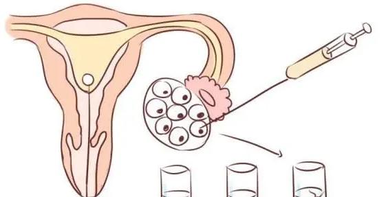 试管促排卵针能帮助女性卵泡发育，但是用药少于这个时间也没有作用