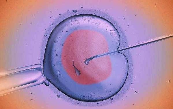 三代试管嵌合体胚胎简称3PIVF，文章详细说明优缺点