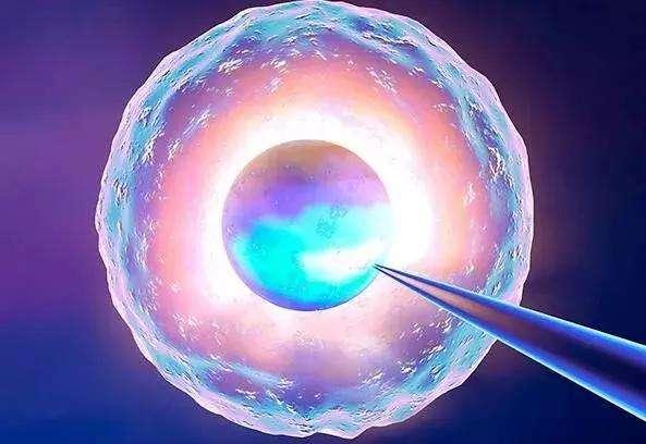 柬埔寨三代试管费用：每位患者的费用大致估算