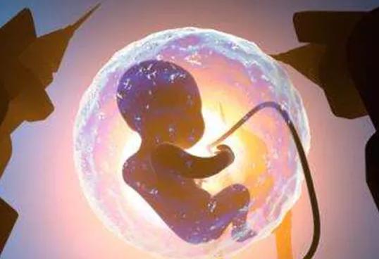 柬埔寨三代试管婴儿选医院攻略如下,要从以下5点出发