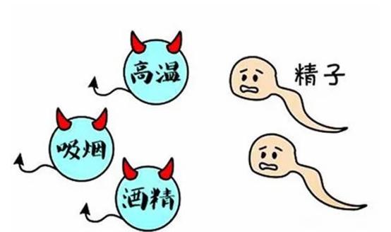 精子质量低是怎么回事?精子质量差能怀上吗?