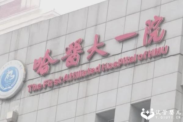 2023哈医大一院试管婴儿费用公开，价格划算成功率还高！