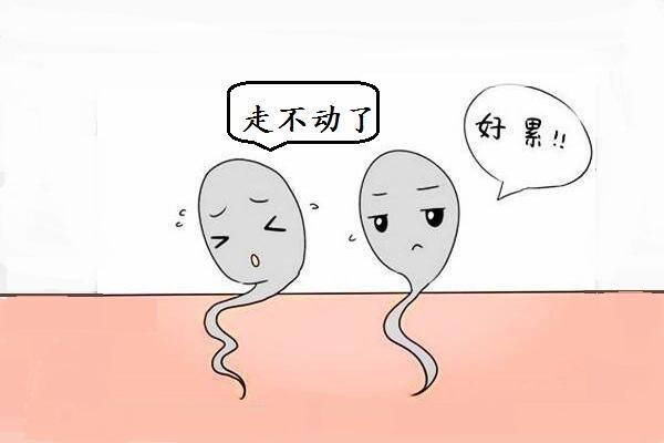 男方精子存活率低试管可以成功吗？应该如何解决？