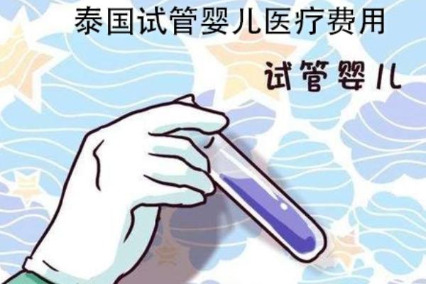 到泰国试管婴儿要花多少钱？总费用给你算个明白！