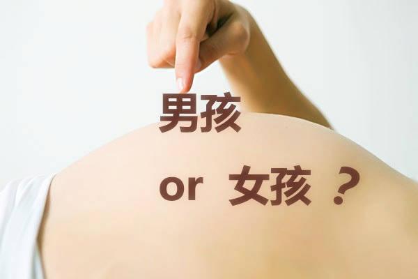 做试管婴儿能保证助孕吗？真相揭晓