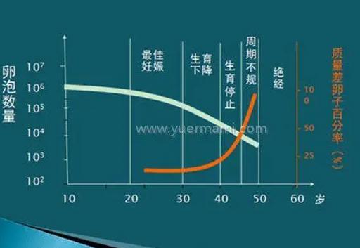 试管婴儿技术二三代相比，成功率更高的是谁