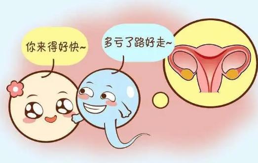 女性结扎复通术成功率高吗？让医学专家告诉你答案