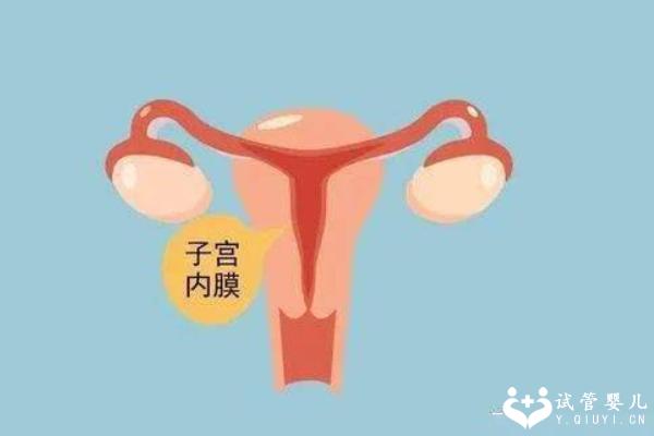 内膜薄会影响试管婴儿移植吗？着床时间会更晚吗？